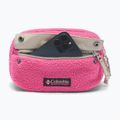 Ľadvinka Columbia Helvetia II Hip Pack 1 l nico/dark stone 4