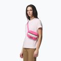 Ľadvinka Columbia Helvetia II Hip Pack 1 l nico/dark stone 5