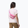 Ľadvinka Columbia Helvetia II Hip Pack 1 l nico/dark stone 6