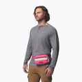 Ľadvinka Columbia Helvetia II Hip Pack 1 l nico/dark stone 7