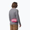 Ľadvinka Columbia Helvetia II Hip Pack 1 l nico/dark stone 8