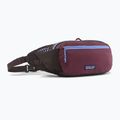 Ľadvinka Patagonia Terravia Hip berry fig