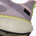 Dámske bežecké topánky Nike Pegasus 42 GORE-TEX particle rose/silver lilac/fennel/sail 7