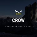 Salewa pánske vysokohorské topánky Crow GTX green 00-0000061328 12