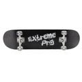 Mechanics Pro-Extreme 31 klasický skateboard čierny Pro-ext