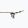 Mechanics Pro-Extreme 31 klasický skateboard čierny Pro-ext 6