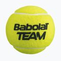 Tenisové loptičky Babolat Team 4 ks. žlté 3