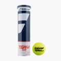 Tenisové loptičky Babolat Team Clay 4 ks žlté 502080