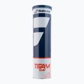 Tenisové loptičky Babolat Team Clay 4 ks žlté 502080 2