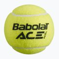 Babolat Ace Padel loptičky 3 ks žlté 501104 2