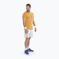 Pánske tričko Babolat Exercise Big Flag autumn glory 2