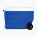 Prenosná chladnička Igloo 38 QT Wheelie Cool Hard Sided 36 l majestic blue 2