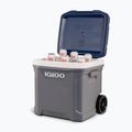 Cestovná chladnička Igloo Maxcold Latitude 62 Qt Roller 59 l carbonite/ aegean sea 16