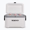 Turistická chladnička Igloo Latitude Marine Ultra 54 51 l white/moonscape gray 10