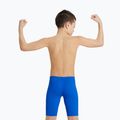 Detské plavky jammer arena Team Swim Jammer Solid royal/white 7