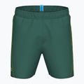 Pánske plavecké šortky arena Fundamentals Arena Logo Boxer R artic lime/mangrove 3