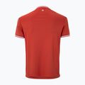 Pánske tenisové tričko Tecnifibre Team Tech terracotta 5