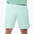 Pánske tenisové šortky Tecnifibre Team Stretch Short sage 2