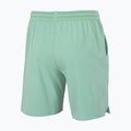 Pánske tenisové šortky Tecnifibre Team Stretch Short sage 4