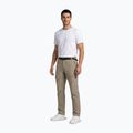Pánske trekingové nohavice Aulp Brady light khaki 2