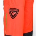Pánske lyžiarske nohavice Rossignol Hero Ski neon red 12