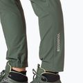 Pánske trekingové nohavice Rossignol SKPR ebony green 6