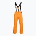 Pánske lyžiarske nohavice Rossignol Ski sunburst 8