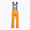 Pánske lyžiarske nohavice Rossignol Ski sunburst 9