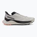Pánska bežecká obuv Rossignol Venosk light grey 2