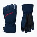 Pánske lyžiarske rukavice Rossignol Perf R-Shell Thermal dark navy 2
