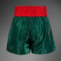 Pánske tréningové šortky Venum Classic Muay Thai khaki 2