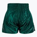 Pánske tréningové šortky Venum Classic Muay Thai khaki 2