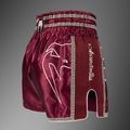 Pánske tréningové šortky Venum x Rajadamnern Muay Thai burgundy 4