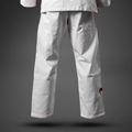 Kimono GI do brazílskeho jiu-jitsu Venum Roger Gracie Academy BJJ white/red 6