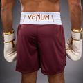 Pánske tréningové šortky Venum Classic Boxing burgundy 6