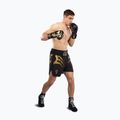 Pánske tréninkové šortky Venum x Mike Tyson Tiger black/gold 2