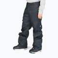 Pánske nohavice na snowboard DC Banshee black