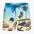 Quiksilver pánske plavecké šortky Everyday Paradise Volley 15" modré EQYJV03999-YFB6