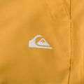 Pánske snowboardové nohavice Quiksilver Estate mineral yellow 4