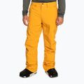 Pánske snowboardové nohavice Quiksilver Estate mineral yellow 6