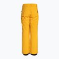 Detské snowboardové nohavice Quiksilver Estate Youth mineral yellow 6