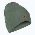 Pánska snowboardová čiapka Quiksilver Brigade Beanie s vavrínovým vencom 6