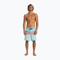 Pánske plavecké šortky Quiksilver Everyday Stripe 19 limpet shell 4