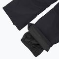 Pánske snowboardové nohavice DC Squadron 30K plum truffle 7