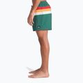 Pánske plavecké šortky Quiksilver Everyday Printed Volley 15" forest outside stripe 6