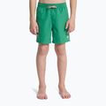Detské plavecké šortky Quiksilver Everyday Volley 14" leprechaun 3