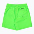 Detské plavecké šortky Quiksilver Everyday Volley 14" green gecko 2