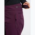 Dámske snowboardové nohavice ROXY Alpine Ridge blackberry wine 6