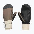 Dámske snowboardové rukavice DC Franchise Mitt W 10K coffee bean