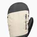 Pánske snowboardové rukavice DC Franchise Mitt 10K oatmeal 3